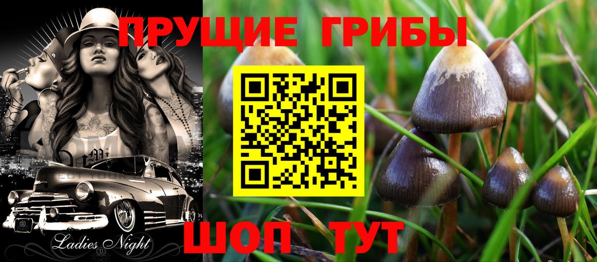 Скопин  Псилоцибиновые грибы Psilocybine cubensis  Вход с VPN 