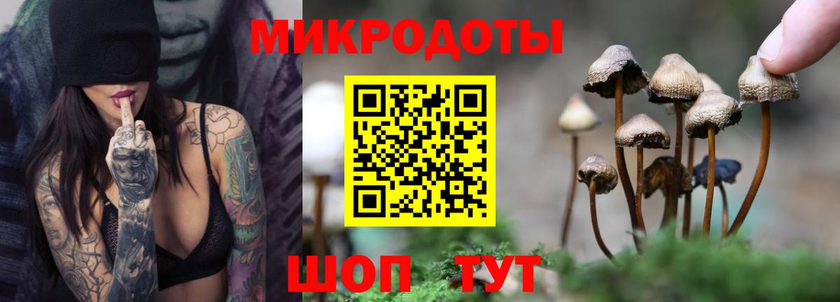 Псилоцибиновые грибы GOLDEN TEACHER Скопин